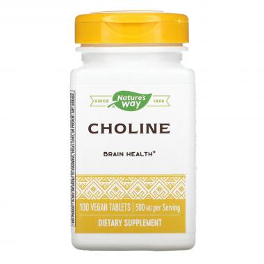 Choline 500 mg - 100 tabs